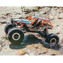 Load image into Gallery viewer, LiteHawk BIG TOM RC Truck
